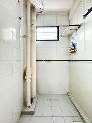 Blk 169 Stirling View (Queenstown), HDB 3 Rooms #511838961
